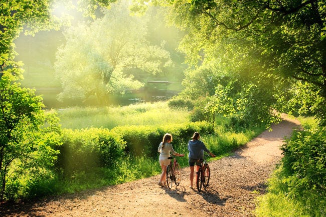 Two cyclists walking their bicycles through a woodland trail
